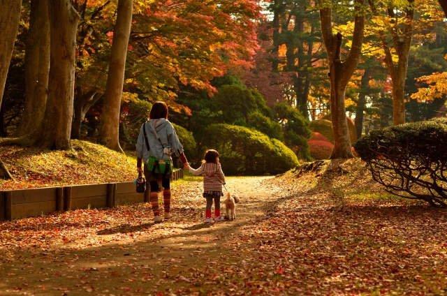 秋の公園を歩く親子と犬